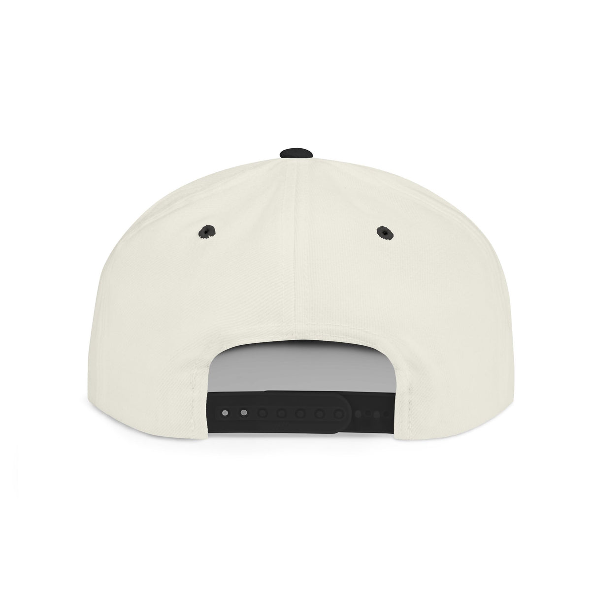 Fractologist Snapback Hat — Retro Script Flat-Bill Baseball Cap