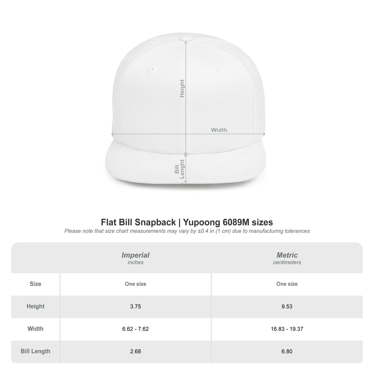 Fractologist Snapback Hat — Retro Script Flat-Bill Baseball Cap