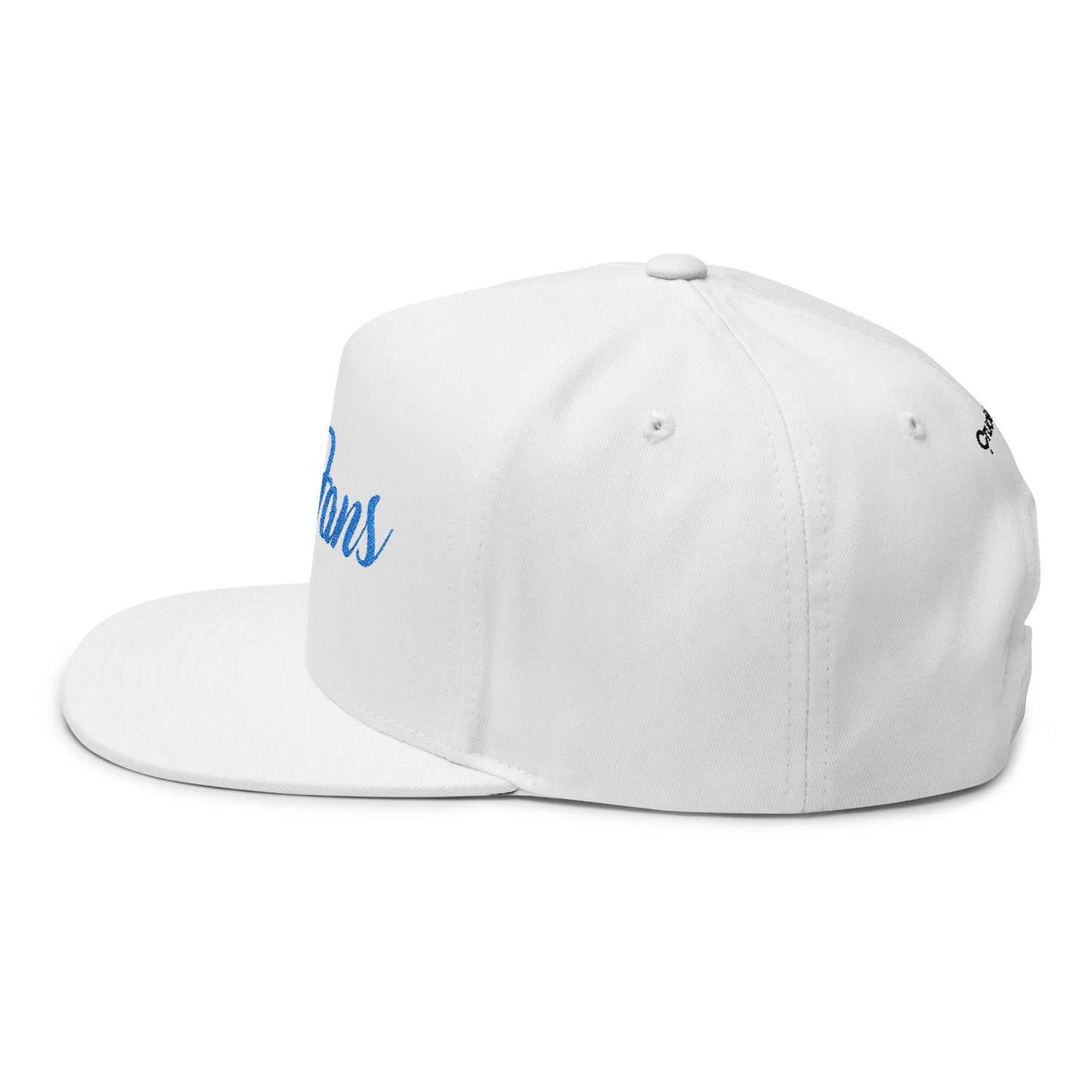 "OilyFans" Embroidered Flat Bill Snapback